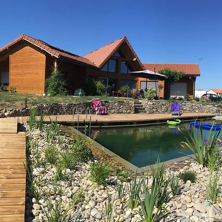 Les Condamines Bed & Breakfast Antoingt Exterior photo